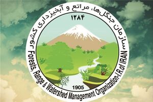 25 هزار همیار طبیعت در استان البرز فعالیت می‌کنند