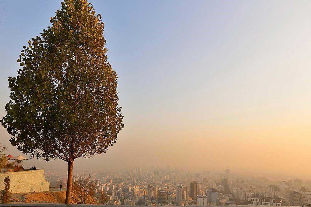 وارونگی هوا