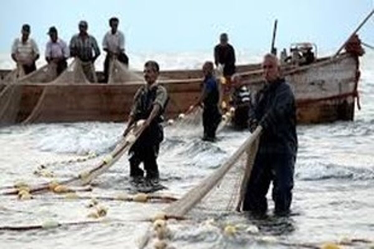 صید ماهی