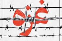 سازمان سینمایی از فیلم‌های با محوریت غزه حمایت می کند