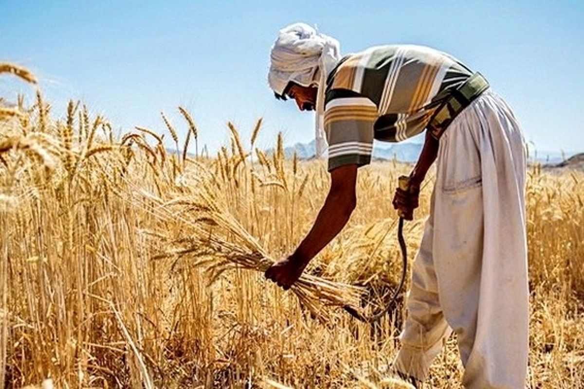 اشتغال روستایی