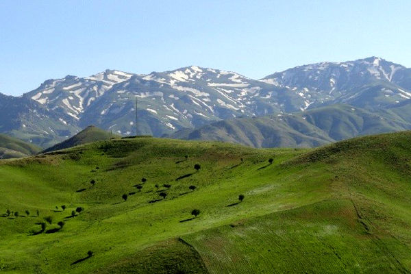 زنگ خطر آتش در طبیعت ایران! شعله‌های بی‌سابقه جنگل‌ها و مراتع ۶ استان را درگیر کرد