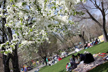 آمادگی سه هزار نیروی شهرداری قم در روز طبیعت