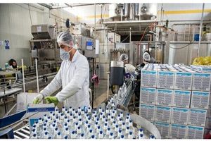 افزایش تولید الکل و خمیرمایه در خوزستان