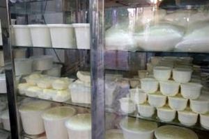 سرانه مصرف شیر در کرمانشاه سالانه ۱۱۰ کیلو است