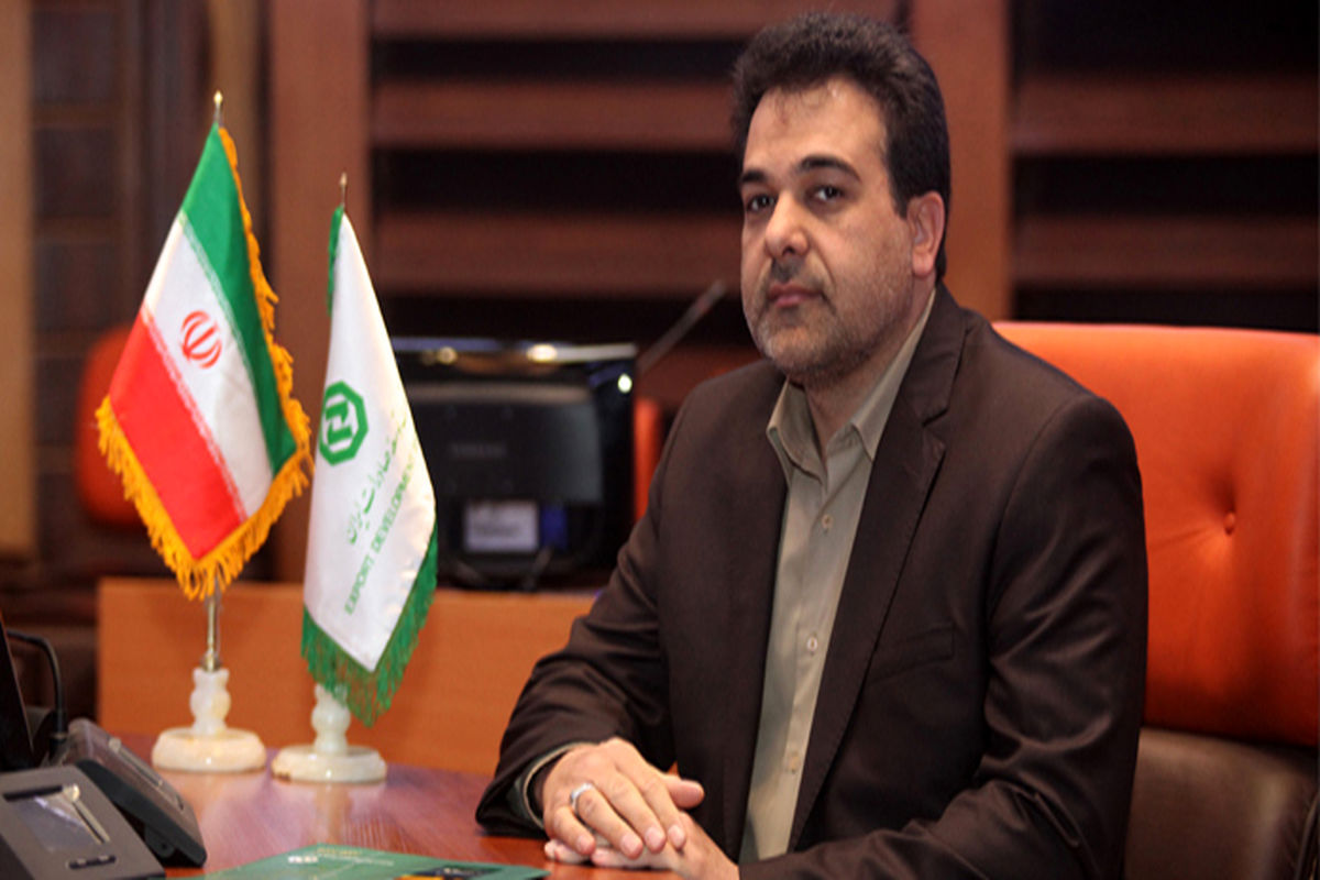 توسعه صادرات