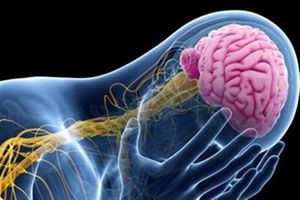وجود ۶۵ هزار بیمار مبتلا به صرع در اصفهان/  ۱۵ هزار بیمار صرع مقاوم به درمان در اصفهان
