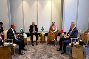 نشست چهارجانبه وزیران خارجه مصر، ترکیه، پاکستان و عربستان درباره تنگه هرمز