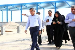 بستک؛ قطب تولید گوشت سفید هرمزگان/ به دنبال تکمیل زنجیره تولید مرغ در استان هستیم