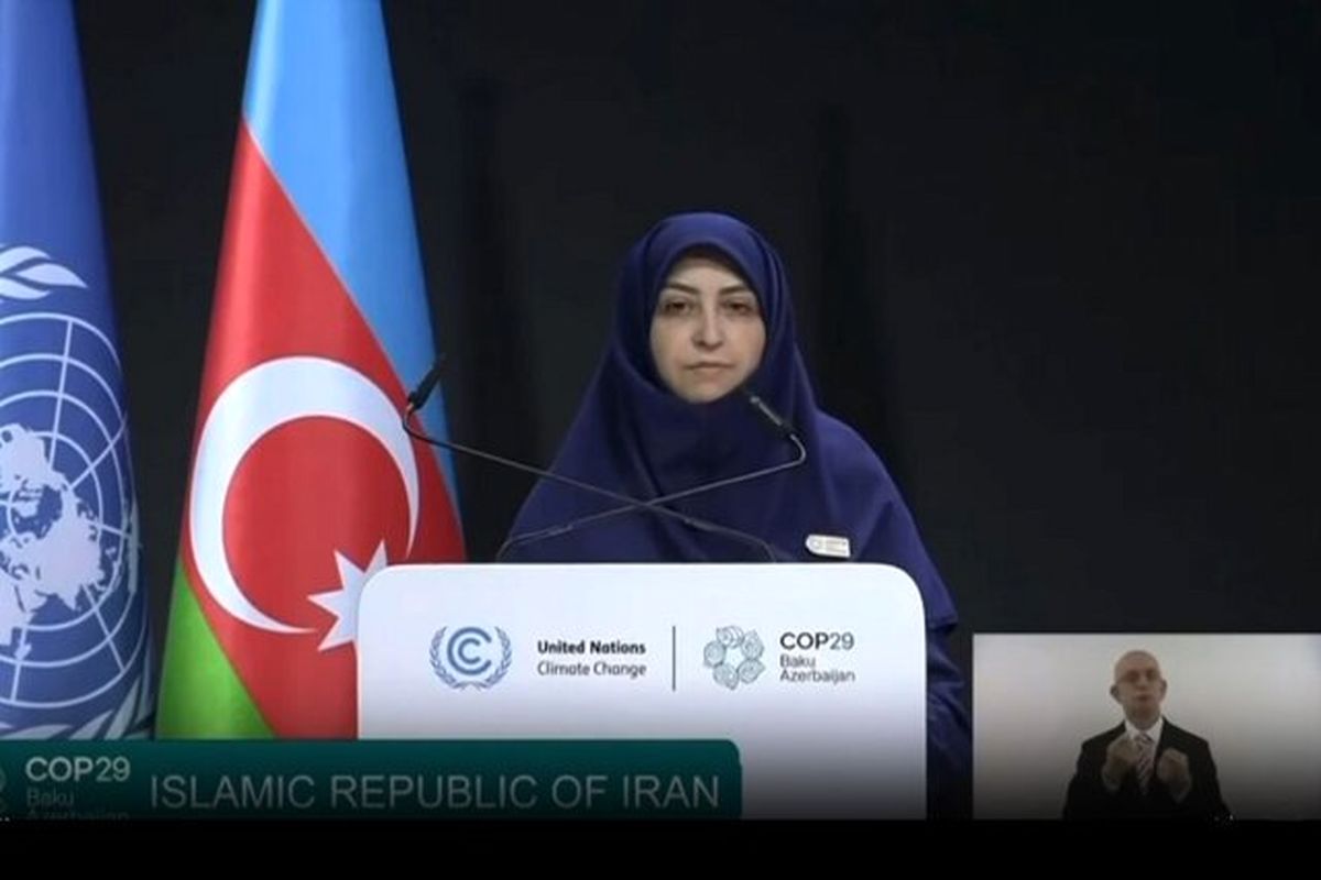 رئیس سازمان حفاظت از محیط زیست