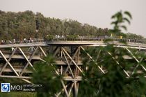 متناسب سازی ۲۲ بوستان در سال ۹۹ 