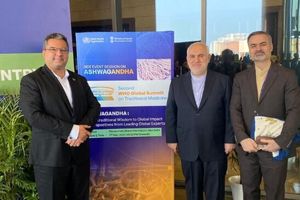 ایران از کشورهای پیشرو در زمینه طب سنتی است