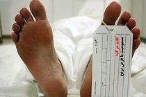 کاهش مرگ با قرص برنج در سال 1395