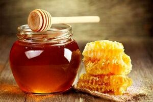 تولید عسل در خرمشهرگامی در مسیر اقتصاد مقاومتی قرار گرفت 