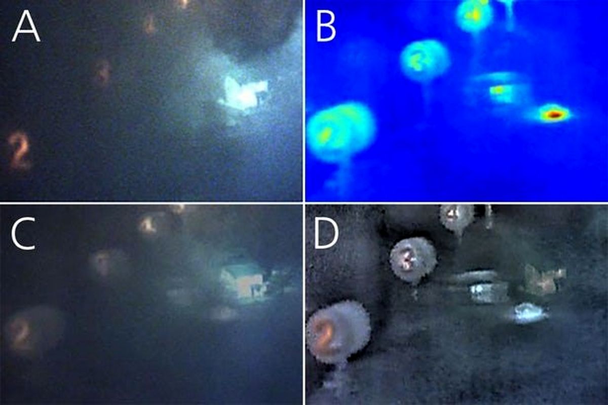 وضوح تصاویر