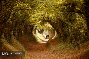 روز آشتی با طبیعت