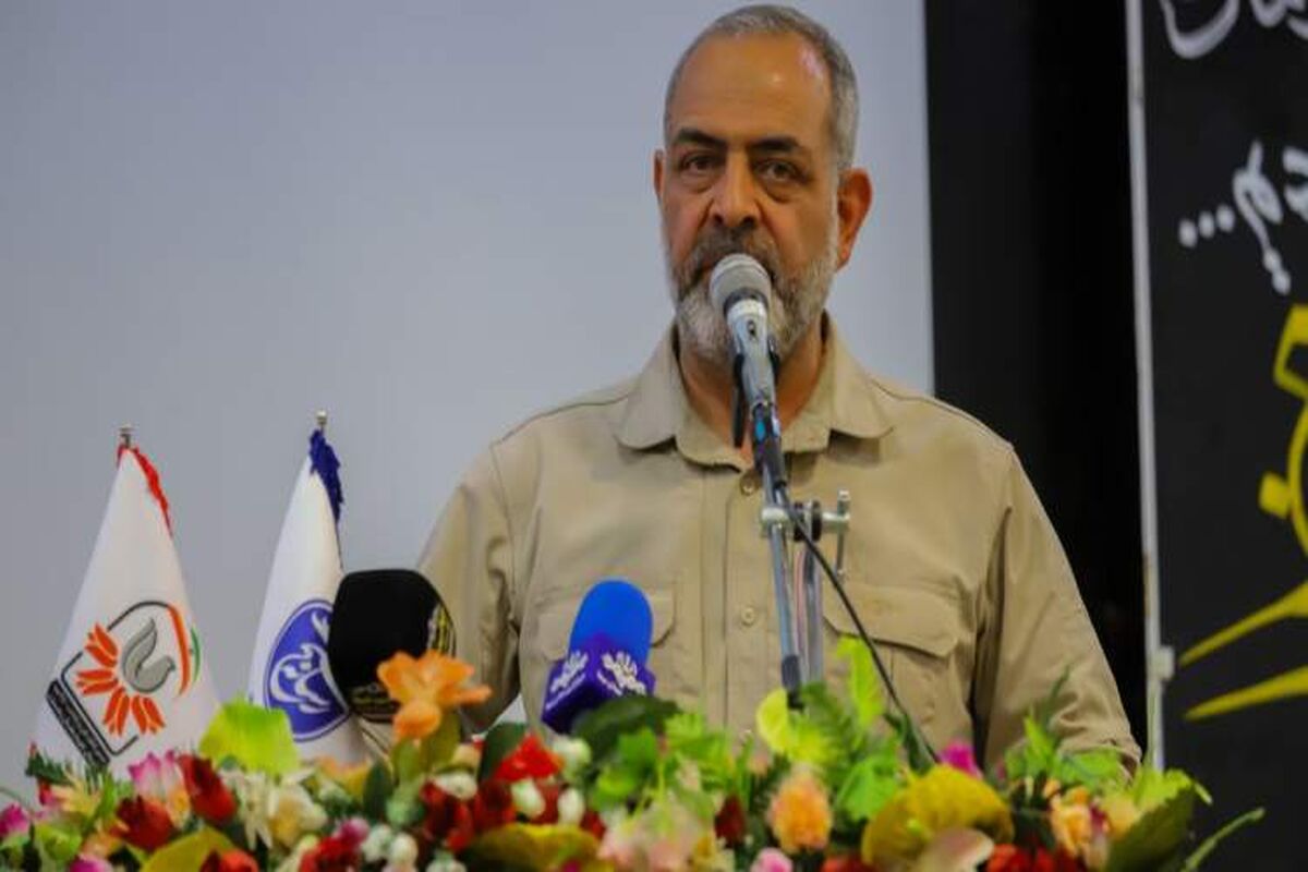 افضلی