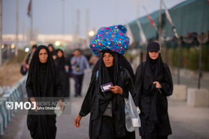 زائرین اربعین