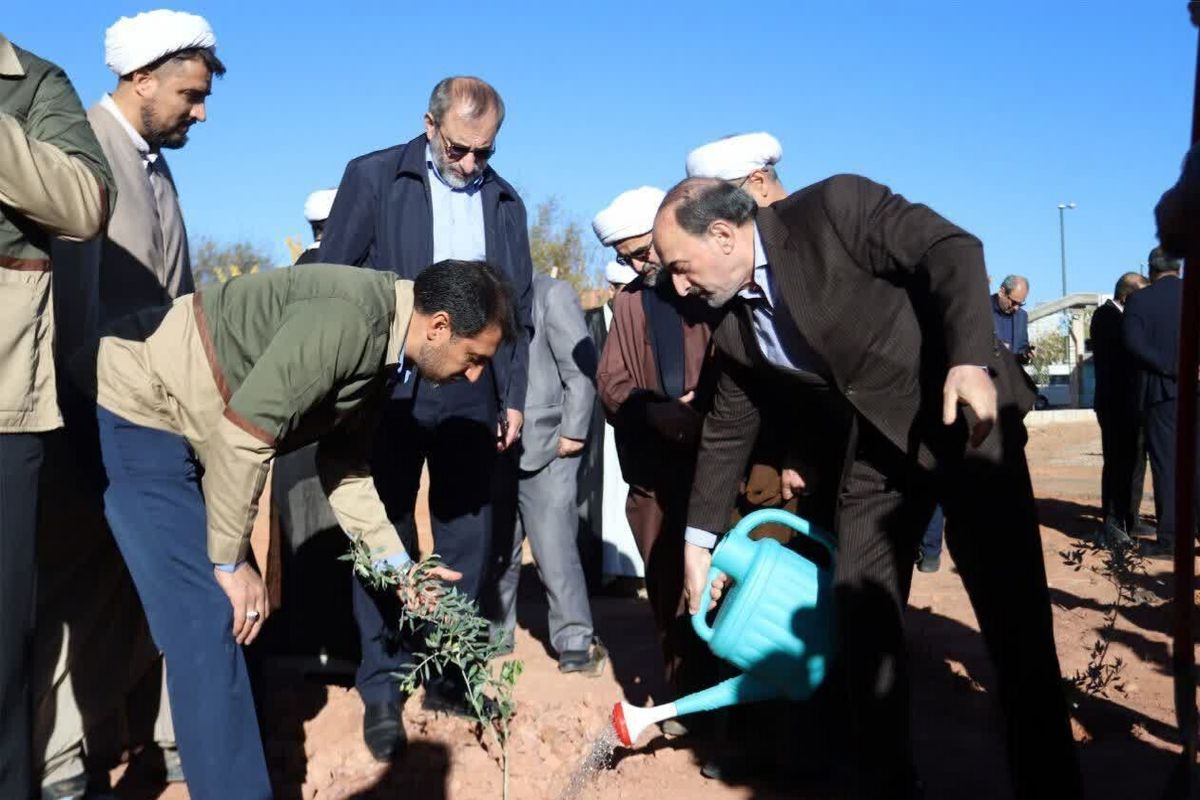 محمدحسن نامی