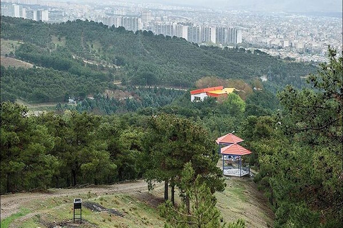 بوستان
