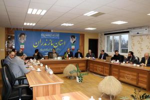 تدوین طرح زنجیره تامین دام گوشتی در مازندران