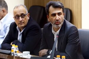 به نظرات بخش خصوصی توجه نمی‌شود
