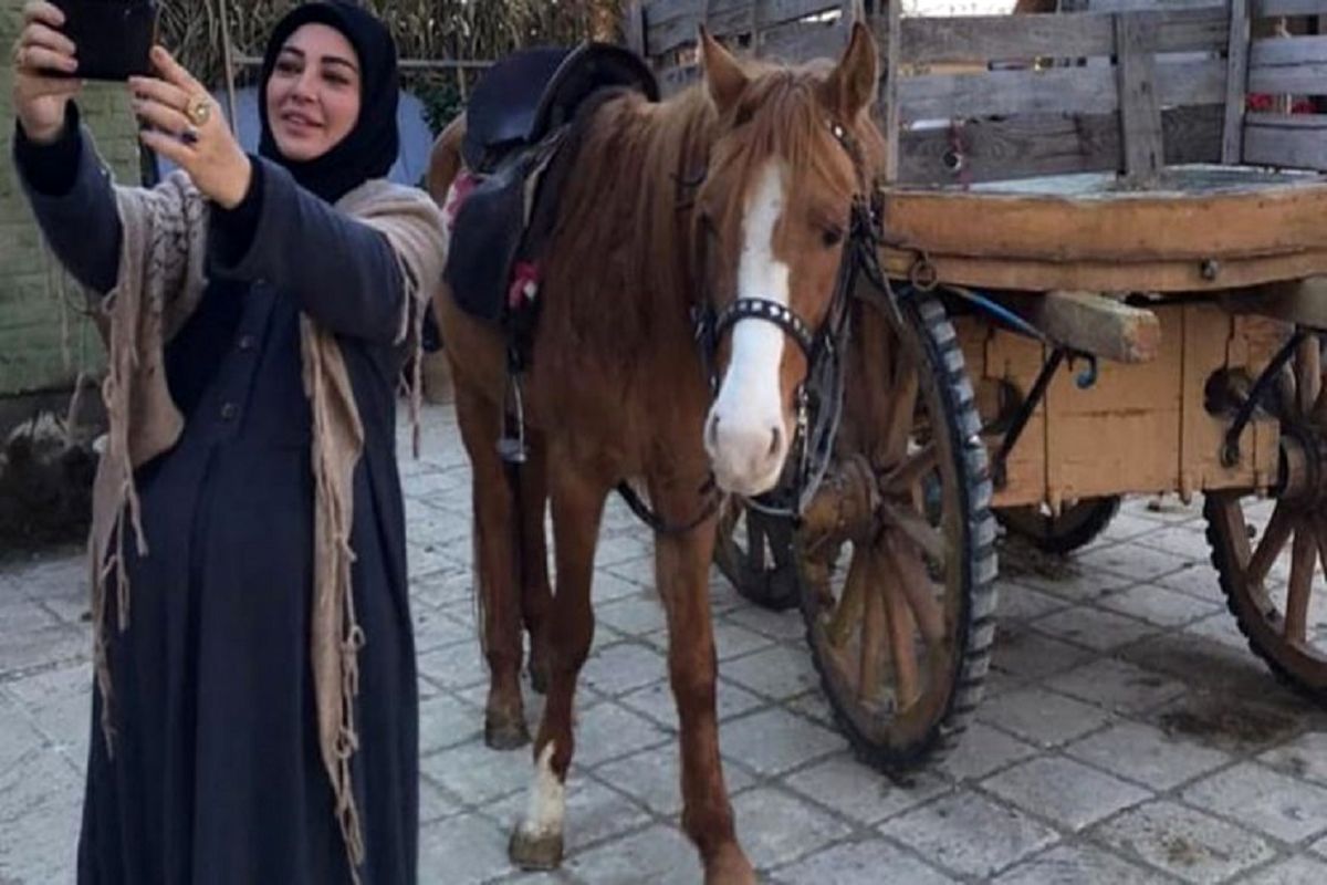 سریال کلبه‌ای در مه