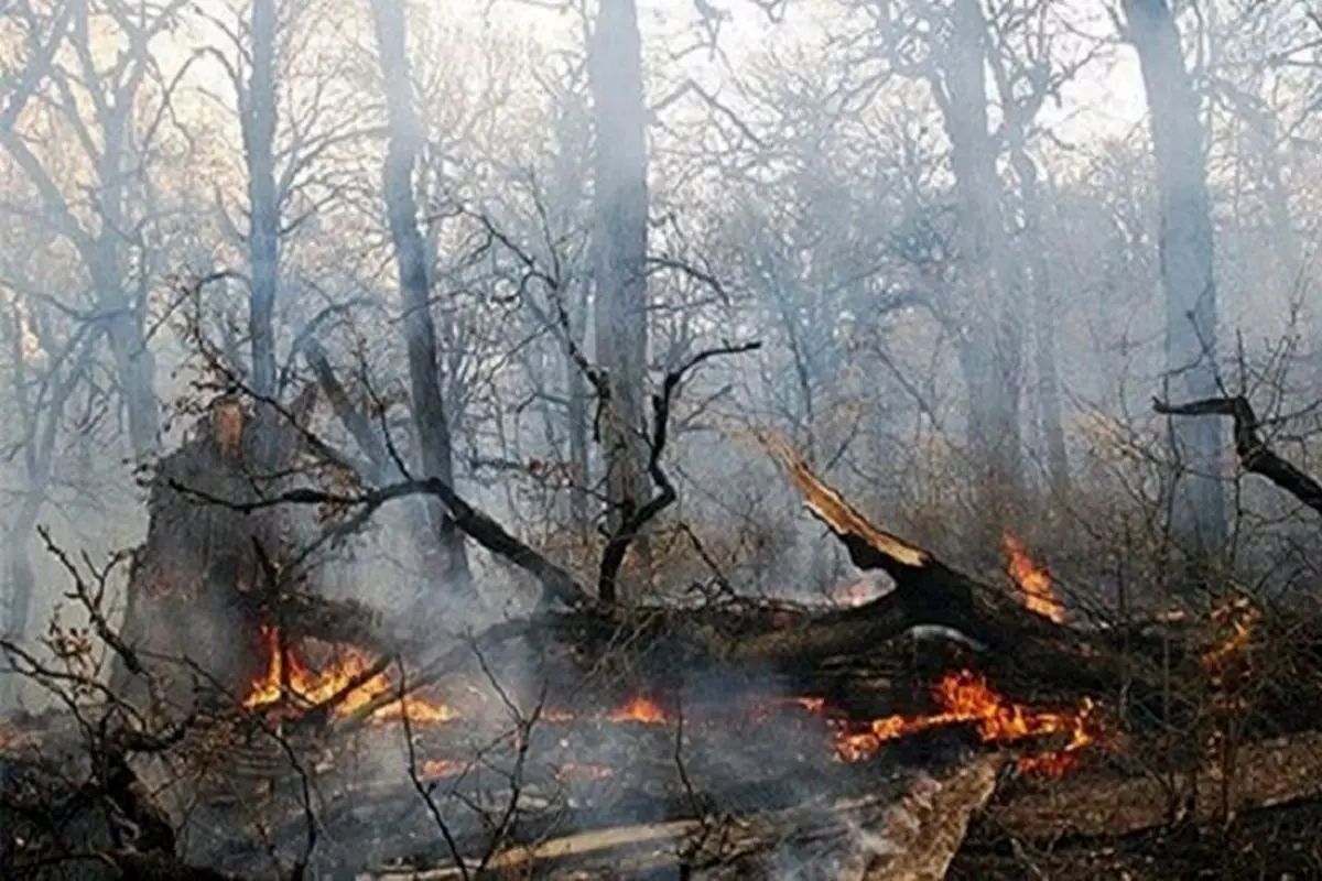 آتش سوزی جنگل چالوس