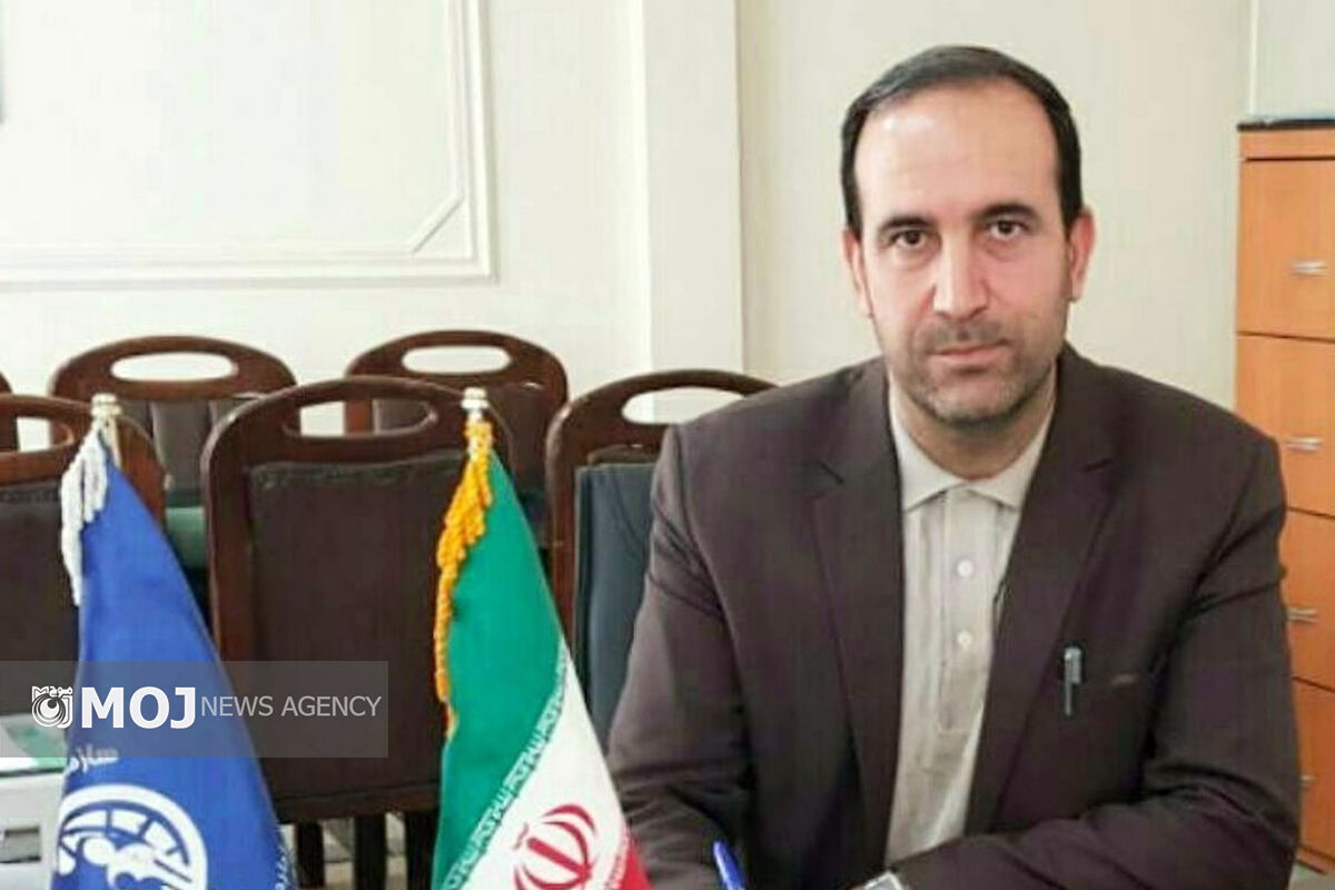 محمدرضا منصوری