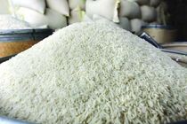 توزیع روغن بیش از  ۵ درصد زیر قیمت بازار/۳۰ هزار تن برنج توزیع می شود