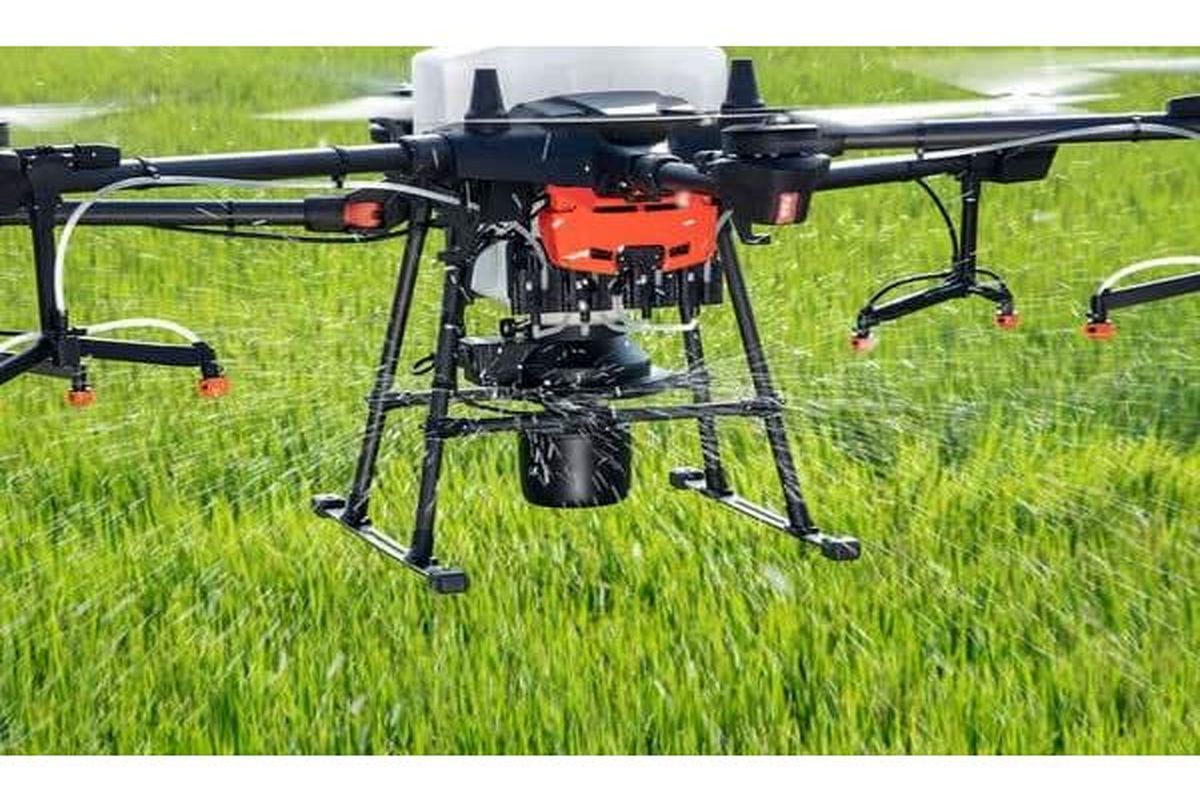 سمپاشی باپهپاد در شالیزارهای مازندران