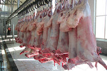 عرضه گوشت گرم وارداتی از شنبه هفته‌ آینده