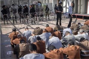 نیویورک تایمز از مطلب تجاوز جنسی اسرائیلی به فلسطینی ها دفاع کرد