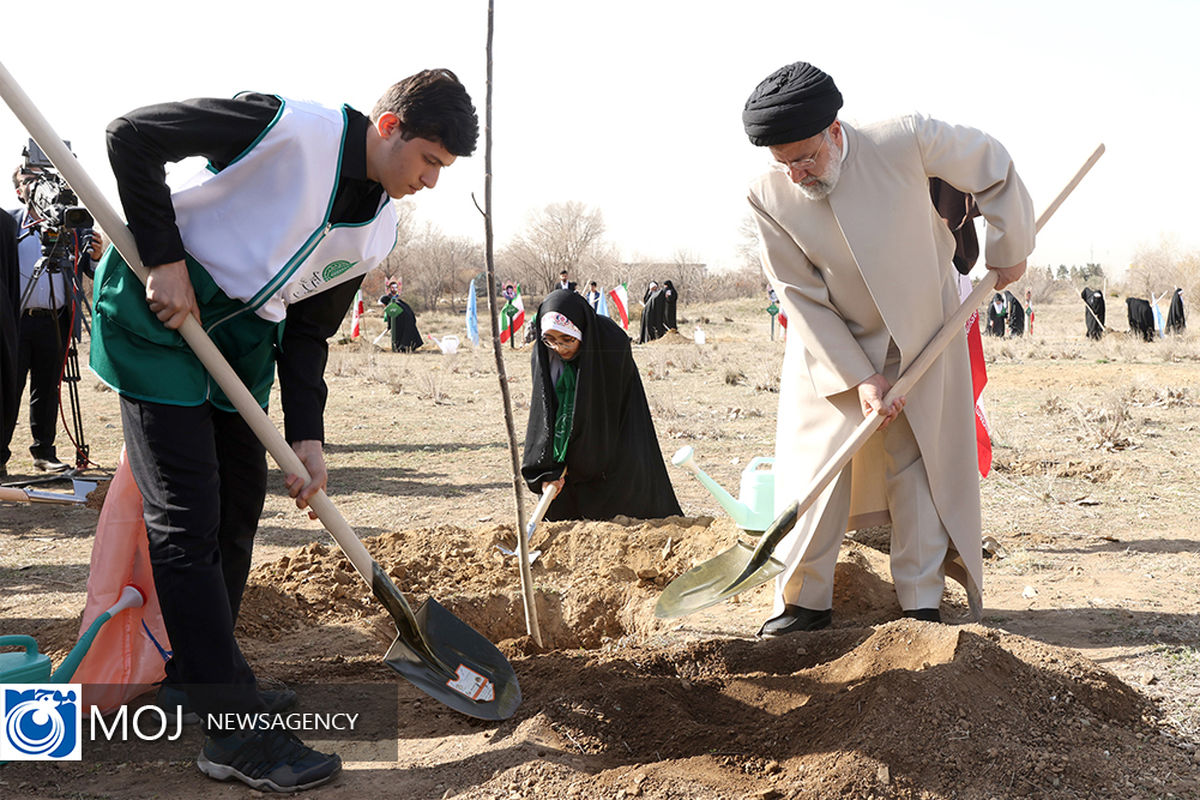 گرامیداشت روز درختکاری