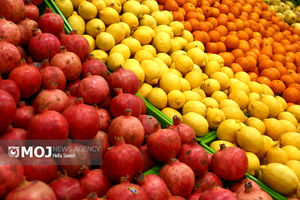 خللی در تامین و توزیع میوه تنظیم بازاری وجود ندارد