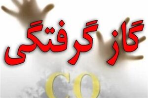 گازگرفتگی، علت اصلی حادثه کارخانه پودر ماهی قشم