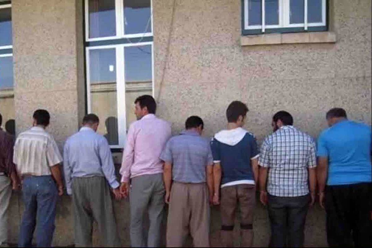 ناجا بویین زهرا (2)