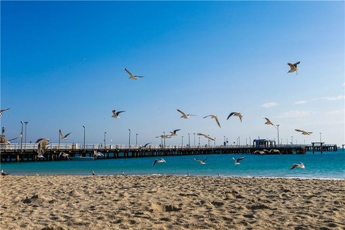 کیش