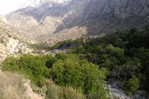 حفاظت مشارکتی جهت صرفه جویی در هزینه های حفط و احیای منابع طبیعی هرمزگان