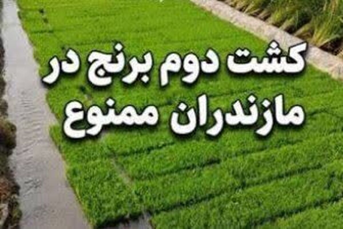 ممنوعیت‌ کشت دوم برنج