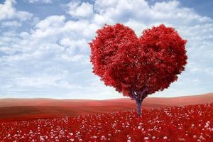 اشعار عاشقانه برای پیامک کردن میخوای این مطلبو بخون / اشعار کوتاه و بسیار زیبای عاشقانه