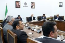 بخش خصوصی با وجود نوپا بودن در کشور خوش درخشید