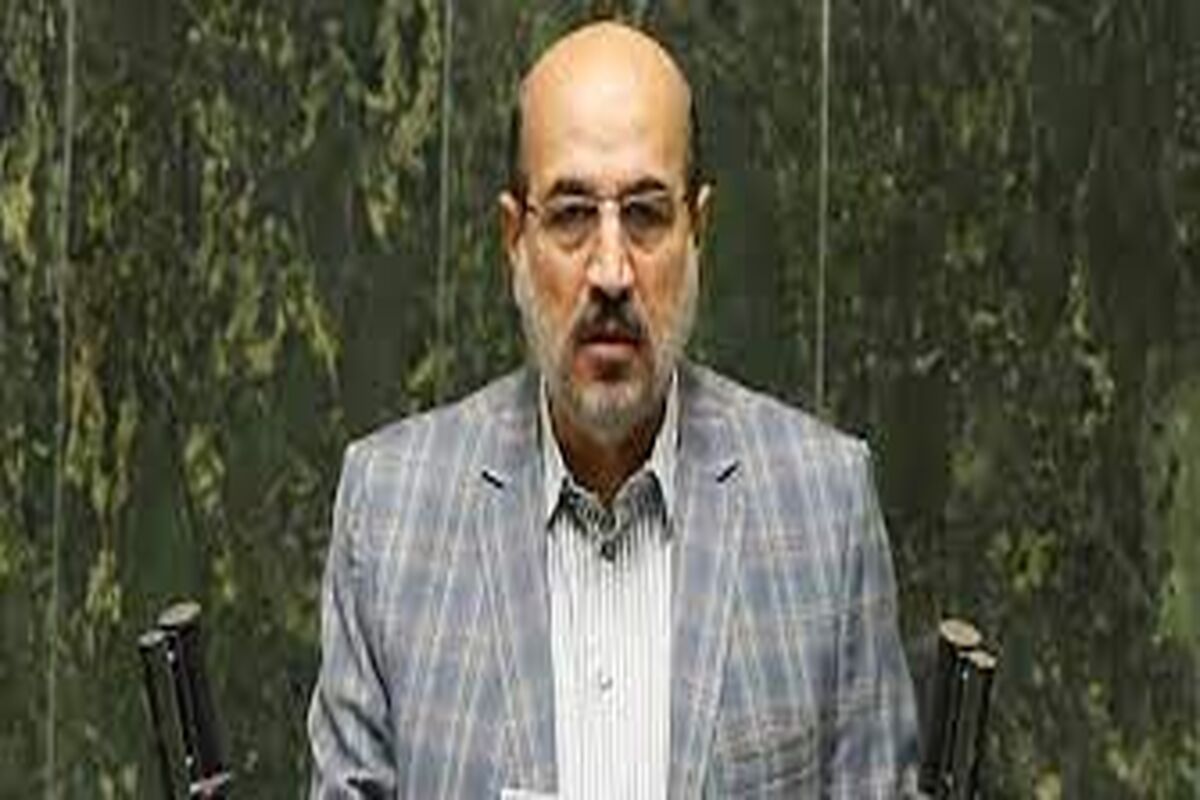نماینده مجلس