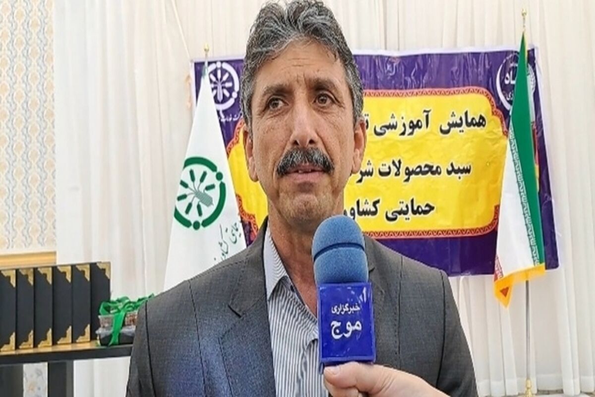 بیگی