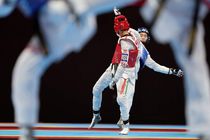 سرپرست فدراسیون تکواندو با حکم وزیر ورزش منصوب شد