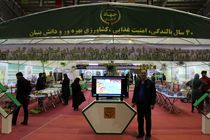 جهاد کشاورزی استان متمرکز بر افزایش بهره وری است