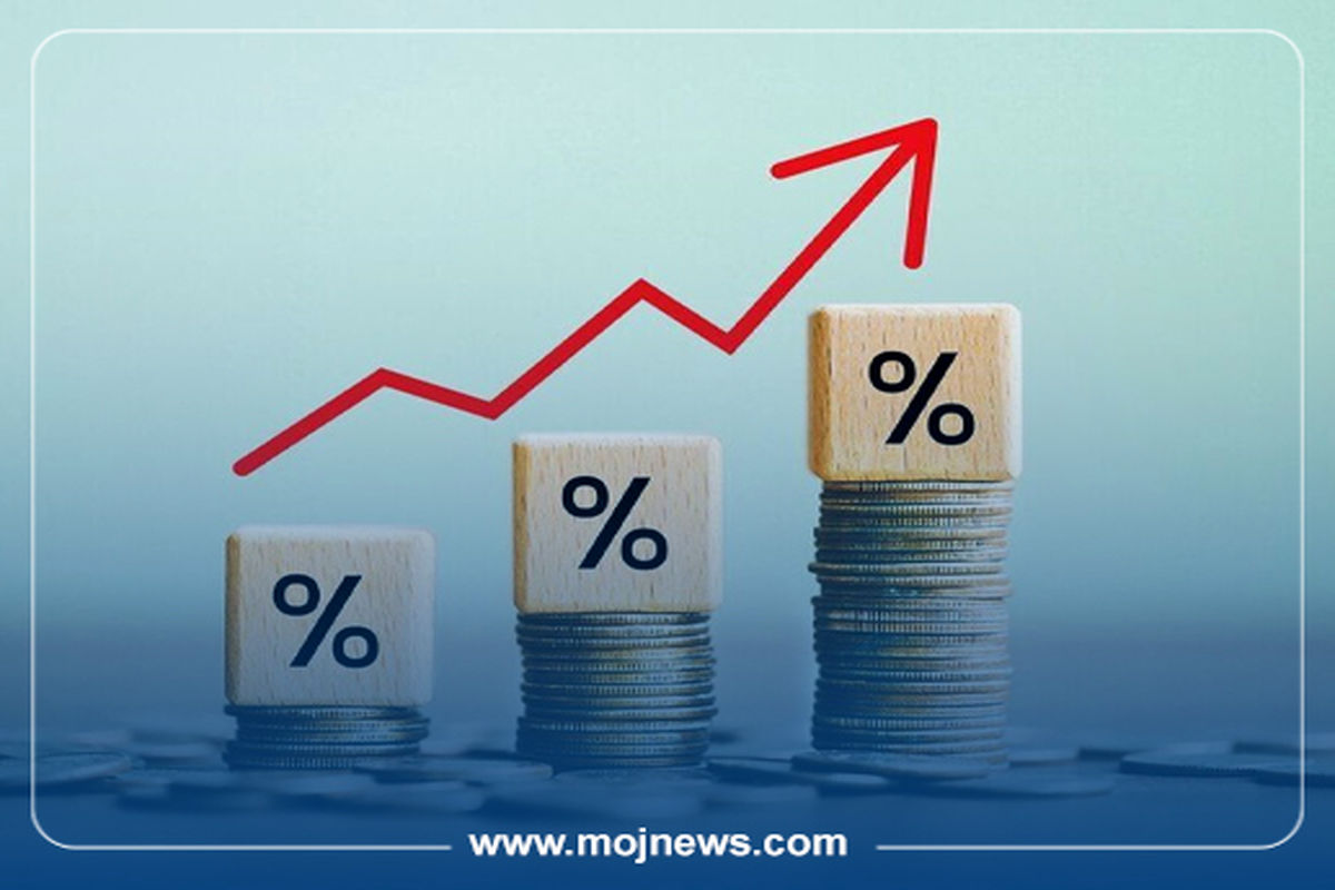 کاور اینفو2 copy تورم