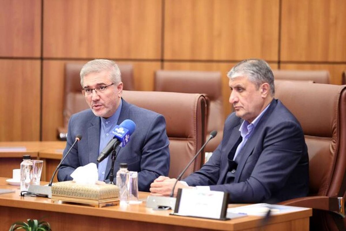 سازمان انرژی هسته ای کشور