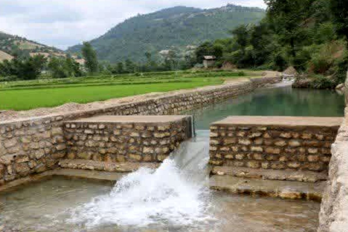 مدیرعامل آبفا مازندران 