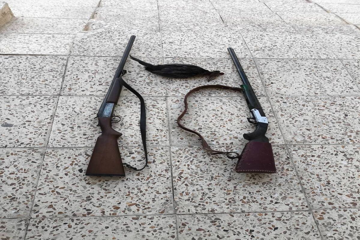 شکارچی